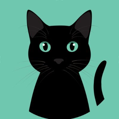 Nacho the Kat's black cat